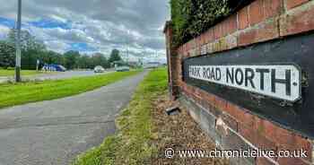 'Detonation' carried out after unexploded hand grenade found in Chester-le-Street