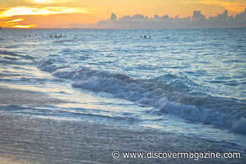 Atlantic Ocean Conveyor Likely to Collapse Before 2050, Say Climate Scientists