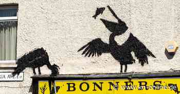 Neue Banksy-Kunst in London: Pelikane über Fish and Chips-Laden