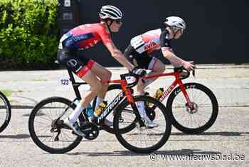 VP Consulting haalt zesde eerstejaarsbelofte voor volgend jaar binnen