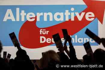 Herford: AfD will in den Stadtrat