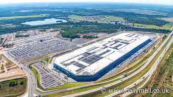 Texas father, 46, died after being ELECTROCUTED by faulty equipment at Tesla Giga factory, lawsuit claims