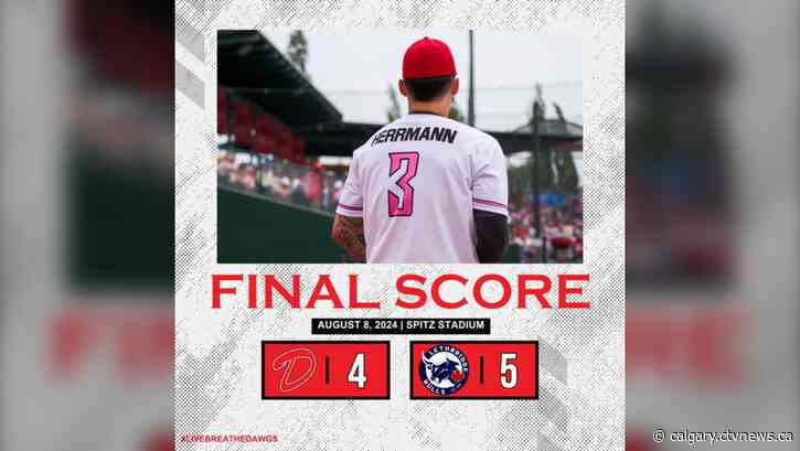 Bulls save season with 5-4 win over Dawgs to push playoff series to deciding game Friday night