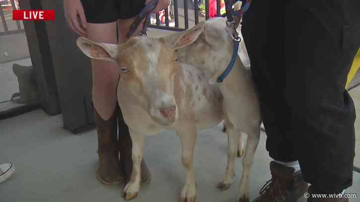 WIVB News 4 live at the Erie County Fair: Aug. 9 interviews