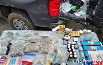 19 impaired charges handed out during B.C. music festival