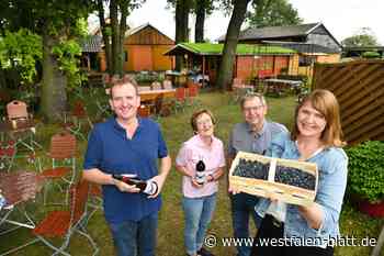Heidelbeer-Café Heber in Verlar: Unter Eichen frische Waffeln genießen