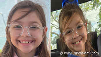 ‘Just bring her back': Father urges for help to find 8-year-old as FDLE issues missing child alert