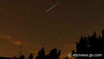 The Perseid meteor shower is back. Here's when and how to see it