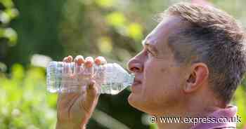 Parents to spend £60 on just one essential item during days out this summer