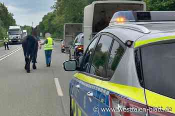 Nach Reifenpanne: Polizei bringt Pferd in Sicherheit
