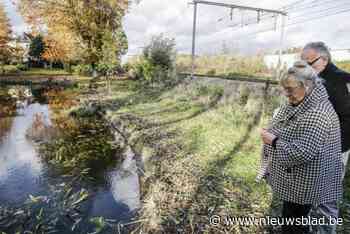 Elisa Lauwers van gelijknamige pralinewinkel in Antwerpen is op 77-jarige leeftijd overleden