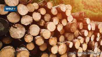 Habeck erteilt CO2-Abgabe auf Holz eine Absage