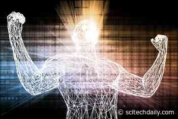 Longevity Breakthrough: New Treatment Extends Lifespan and Enhances Physical Function