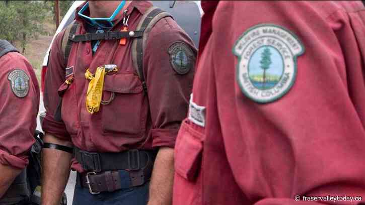 Three small wildfires burning out of control in Chilliwack area