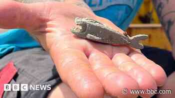 Fisherman lands first-ever 'lost' Lego shark