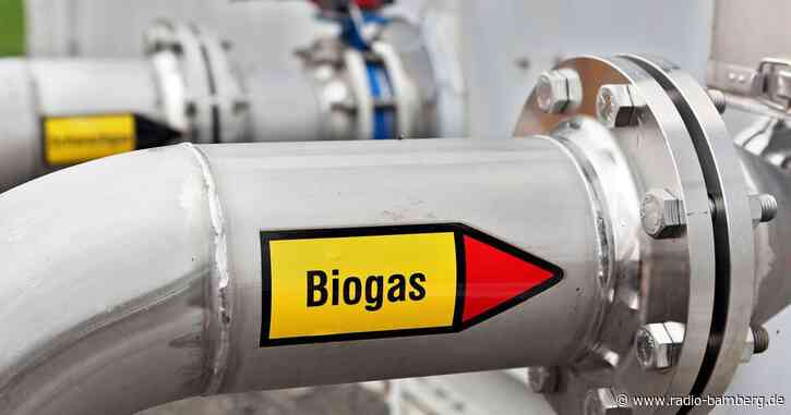 Gülle aus Biogasanlage gelangt in Fluss – Fische sterben