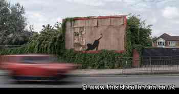 Banksy unveils sixth animal collection piece - the locations you'll find them all