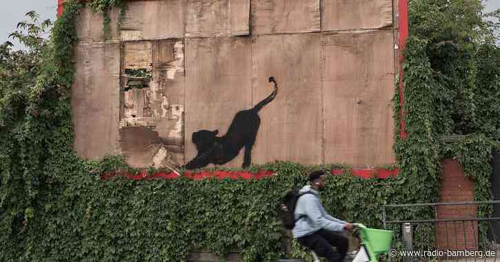 Katze bei Dehnübung: Banksy setzt Bilderreihe in London fort