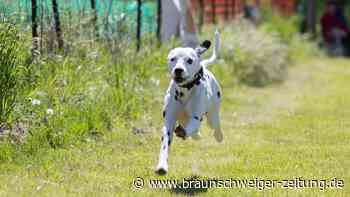 Salzgitters Vereine in Not: Müssen sie Watenstedt verlassen?