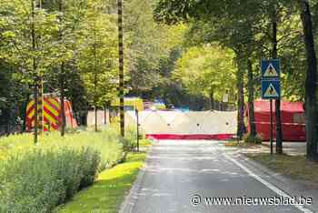 Bestuurder (92) merkt overstekende voetganger niet op en rijdt haar aan op oversteekplaats in Brasschaat: vrouw ter plaatse overleden