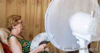 Het wordt heet: wat moet je doen op de warmste dag van het jaar? En vooral: wat niet?