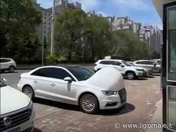 Lo strano fenomeno delle "auto incinte". Ecco perché succede