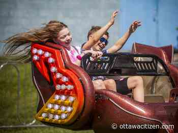 Navan Fair: miniature horses, the oldest Spider-Man and the Baking Queen