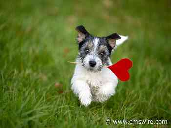 Is AI Personalization the New Cupid for Customer Experience?