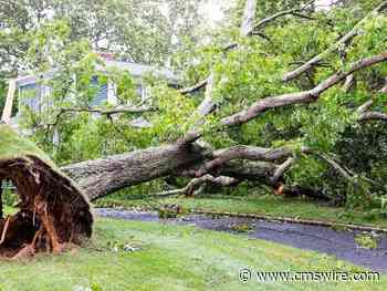 WYSIWYG Challenges: The Downfall of 'What You See' Web Design