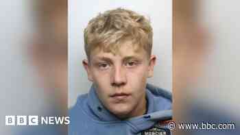Teenager jailed over police van attack at riot