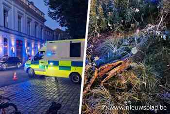 Vrouw en tiener zwaargewond als zware tak op publiek valt tijdens festival in Brugge, ook vijf lichtgewonden