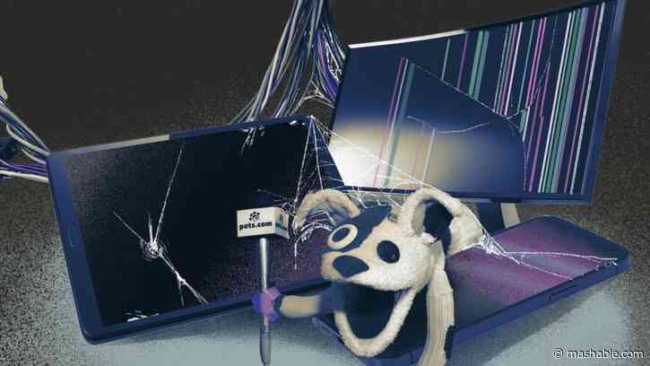 How the dot-com bubble burst is relevant for the AI era