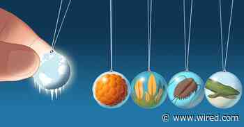 The Physics of Cold Water May Have Jump-Started Complex Life