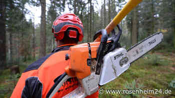 Tödlicher Arbeitsunfall in Vaterstetten – Frau findet schwer verletzten Ehemann im Wald