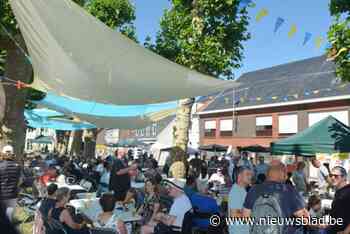 Veel muziek, amusement en volkse leute: Feeste t’Ename bekoort jong en oud
