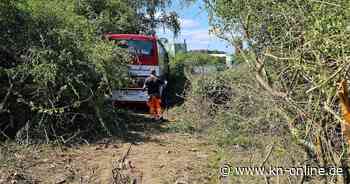 Plauen: Reisebus-Unfall auf A72 – sieben Personen verletzt