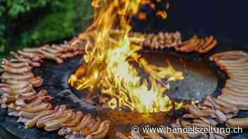 50'000 Besucherinnen und Besucher im Maison Suisse