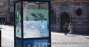 Seventh piece of Banksy animal artwork appears in London