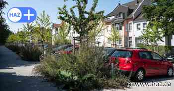 Hannover-Kleefeld: Fichtestraße-Anwohner verärgert über Unkraut-Wildwuchs
