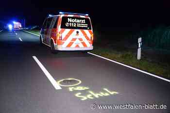 77-Jähriger schiebt Rad am Straßenrand: tödlich verletzt