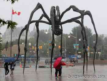 Cleanup continues in wake of Debby's visit