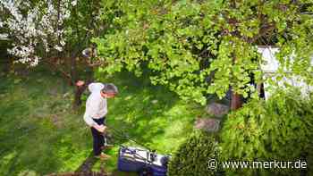 Kurioser Garten-Trick: Expertin verrät, wie man Rasen mithilfe von Bierflasche perfekt mäht