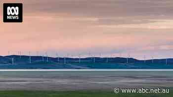 Challenges arise as renewable energy gathers speed in country NSW