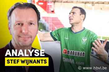 ANALYSE. Stef Wijnants: “Huidige situatie van STVV is onbegrijpelijk”