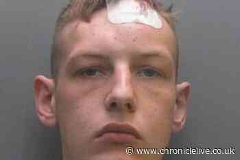 Violent thug who killed dog and attacked couple in County Durham home during brutal knife attack jailed