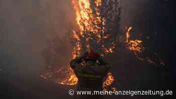 Feuerhölle am Mittelmeer bedroht auch Athen: Mehrere Ortschaften müssen evakuiert werden