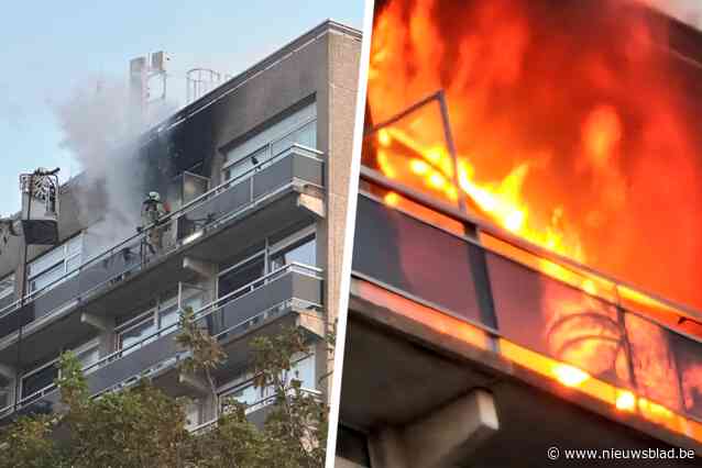 Er was geen friteuse, dus wilden Duitse toeristen frietjes bakken in pot met olie: zware brand vernielt vakantiestudio’s