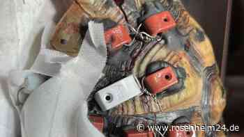 Schildkröte auf A94 angefahren und zertrümmert - so heldenhaft kämpfen Retter um ihr Überleben