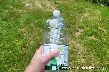Gardeners urged to use plastic bottles to help birds in their garden this August