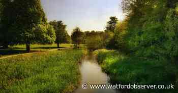 Watford to see hours of 30C+ heat in intense 'warm spell'